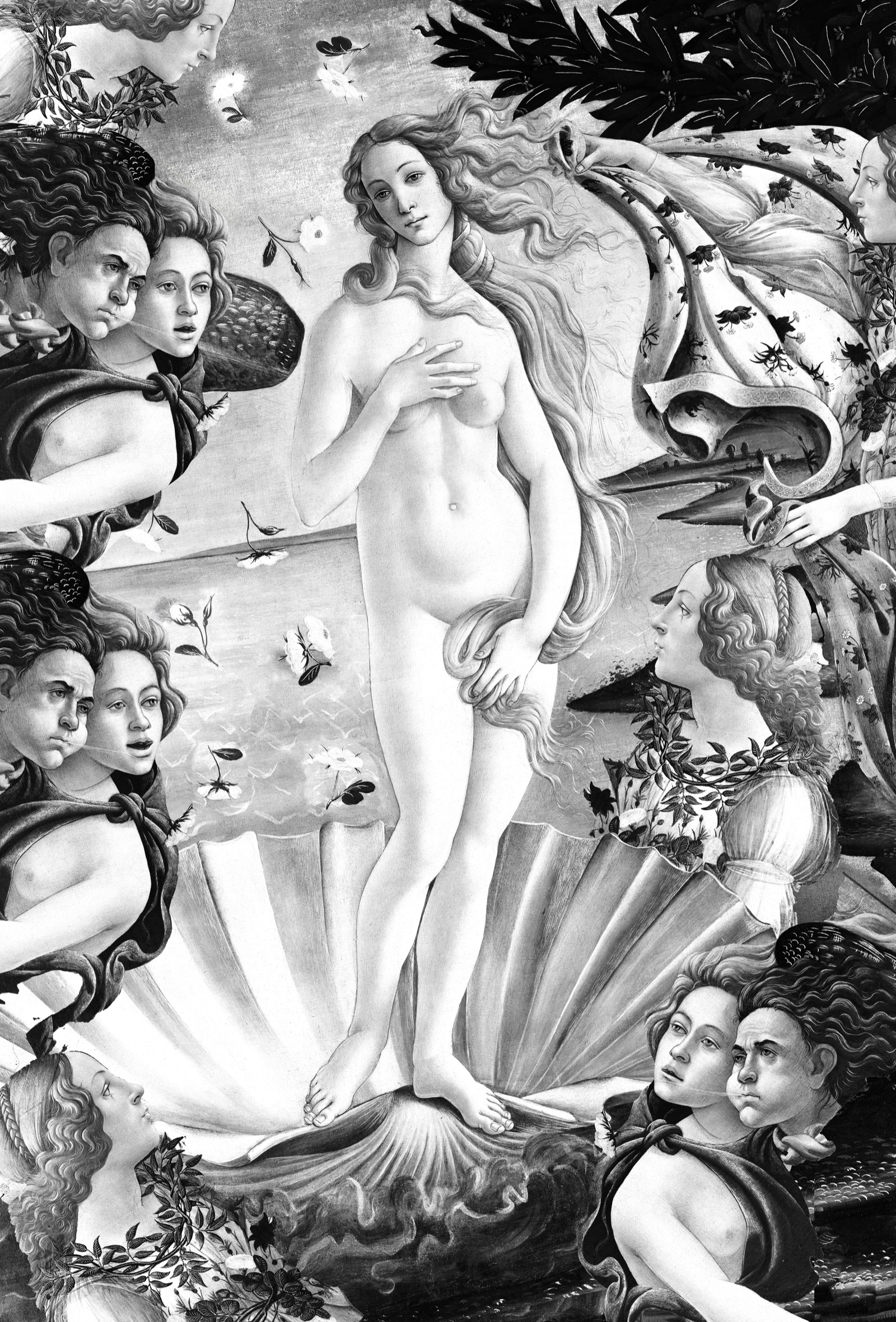 La Sombre De Venus